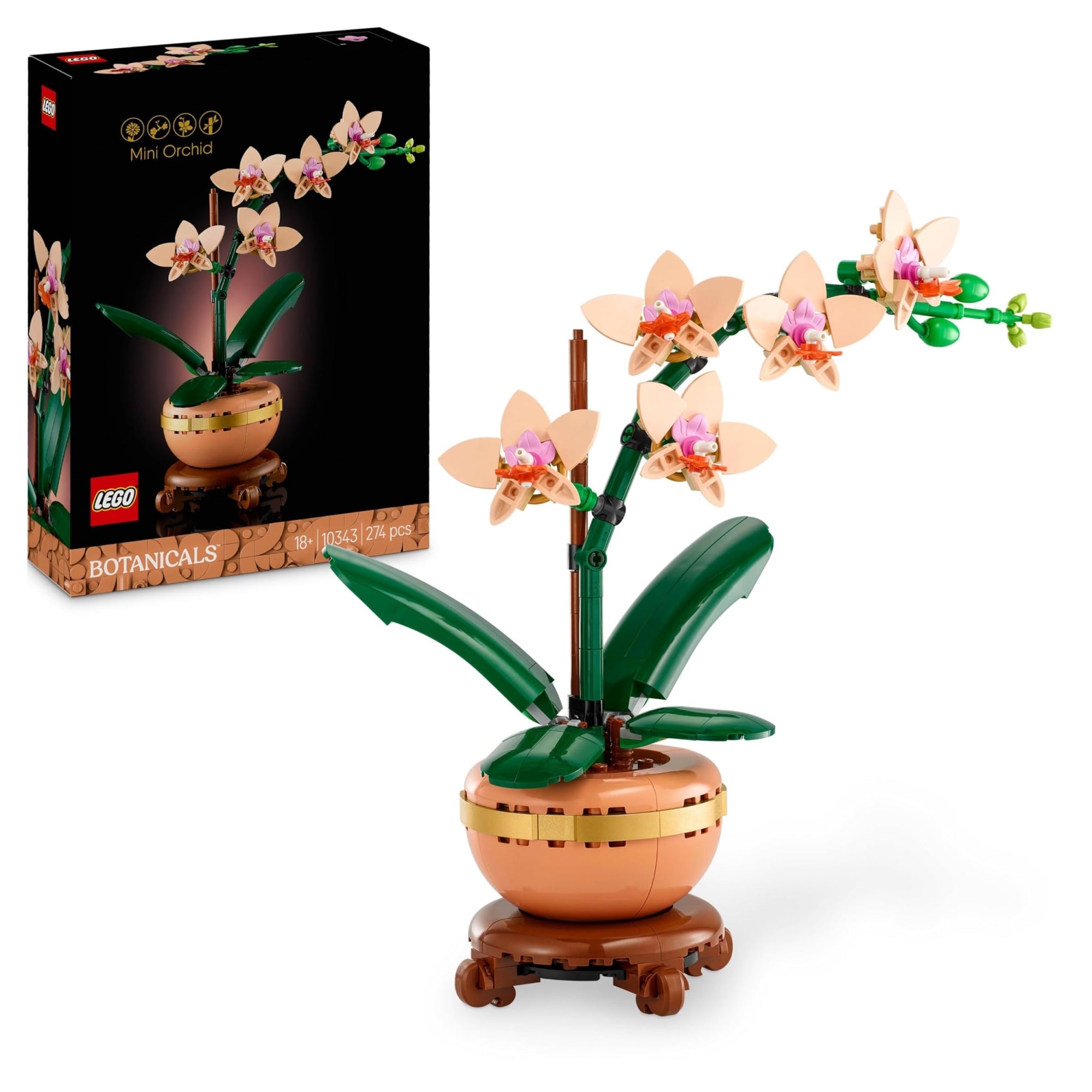 BOTANICALS Mini-orchidea