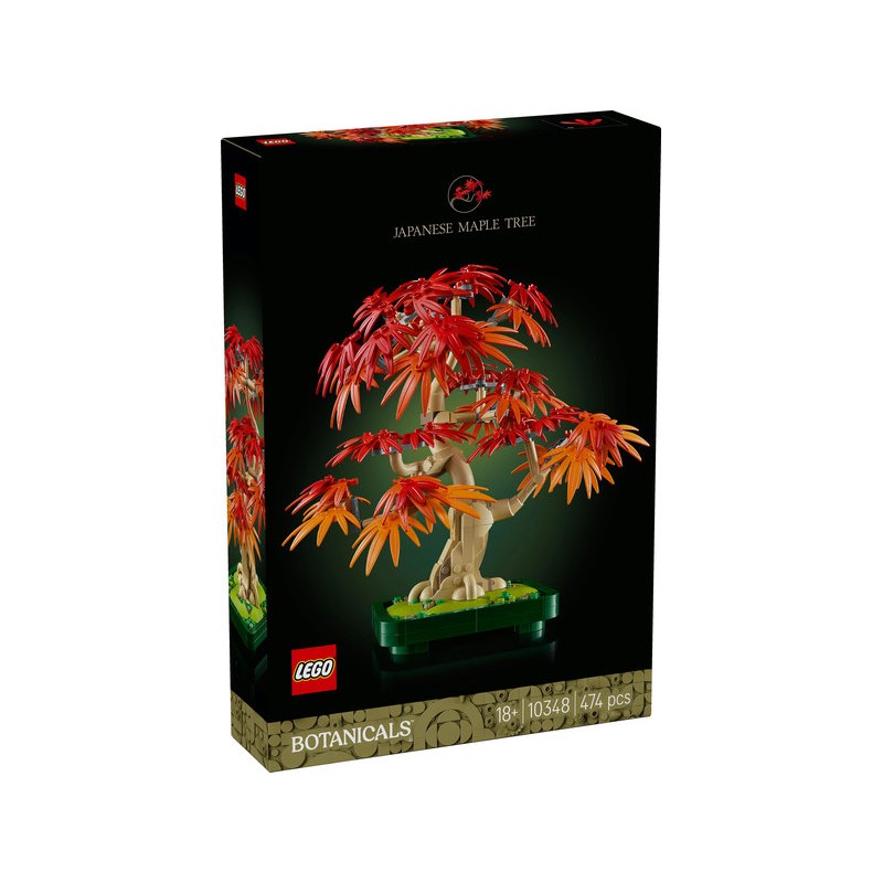 BOTANICALS Bonsai di acero rosso giapponese