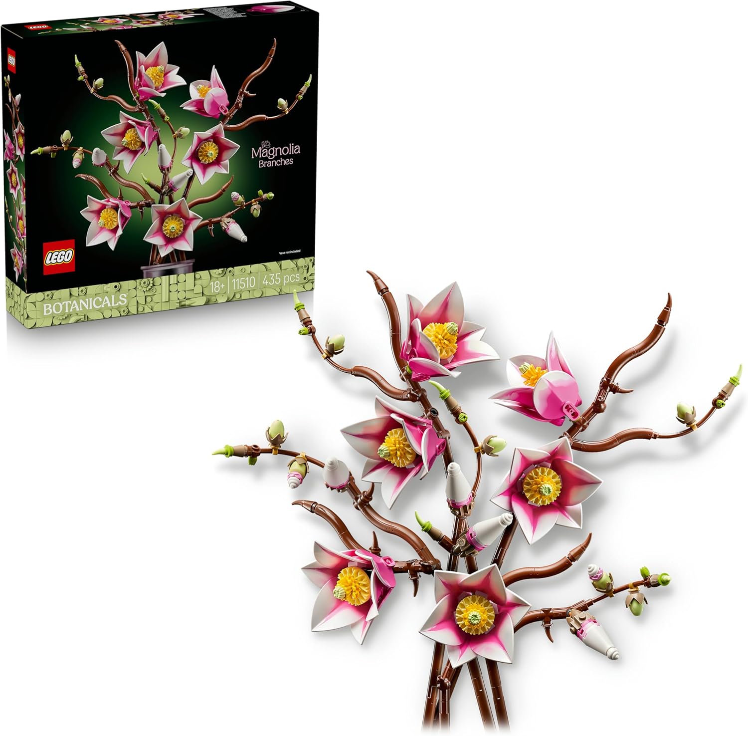 Botanicals Rametti di magnolia