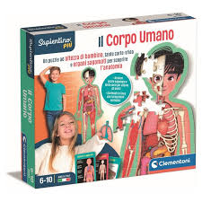 Sapientino Montessori Il Corpo Umano