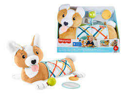CUSCINO TUMMY TIME FISHER PRICE
HJW10