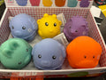 ANIMALE C/SUONO BOX 6PZ ASSORTITI