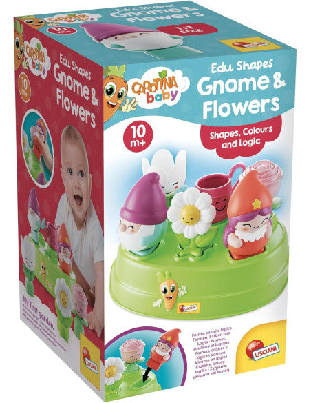 CAROTINA EDU SHAPES NOME AND FLOWERS