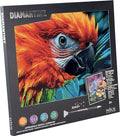 DIAMANTINY Quadro Animals Ara