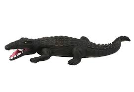 COCCODRILLO CM 56