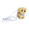 Chi Chi Love Loomy Golden Retriever